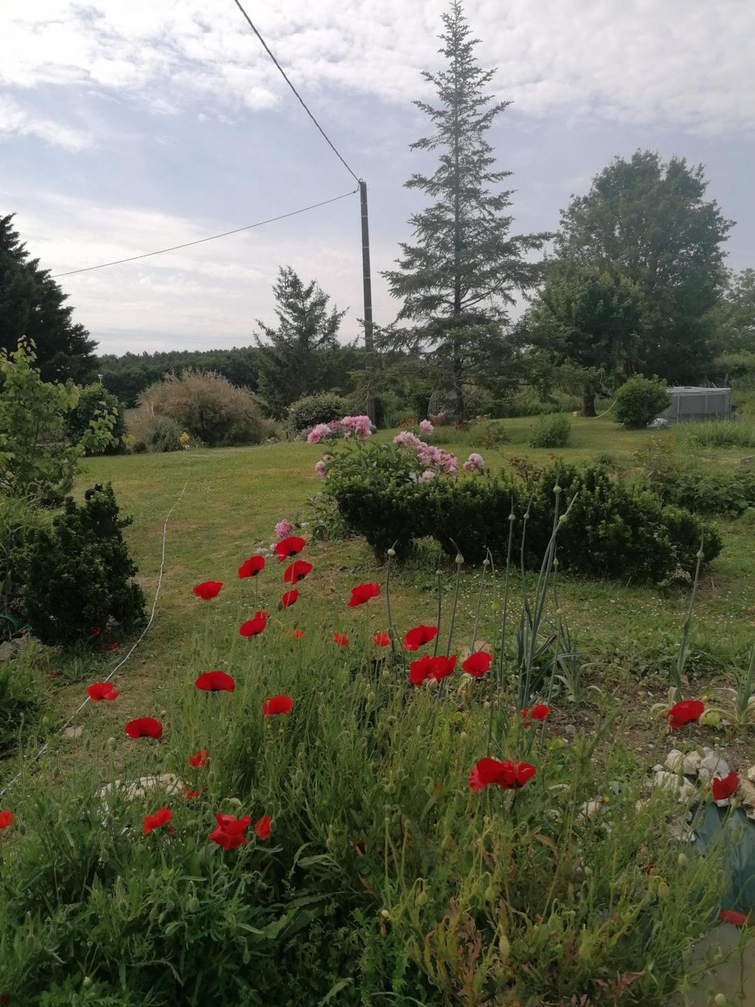 Gite 4 Pers, Jacuzzi, Piscine, Proche Futuroscope, Calme Et Nature A La Roche Posay Ла-Рош-Позе Екстер'єр фото
